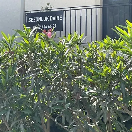 公寓 Satsuma House