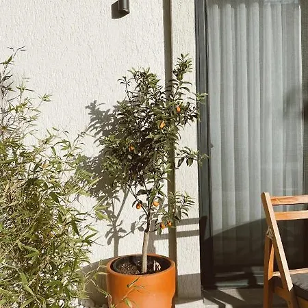 Satsuma House Apartment Bodrum
